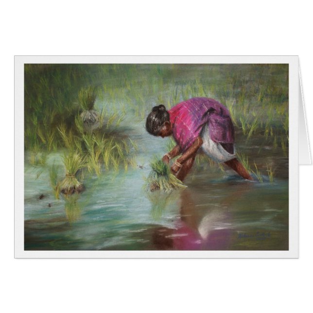 Separación de los paquetes del arroz (Anverso (Horizontal))