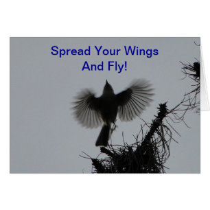 Separe sus alas y mosca, Titmouse copetudo