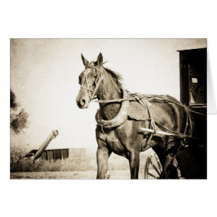 Sepia Amish Caballo Y Buggy