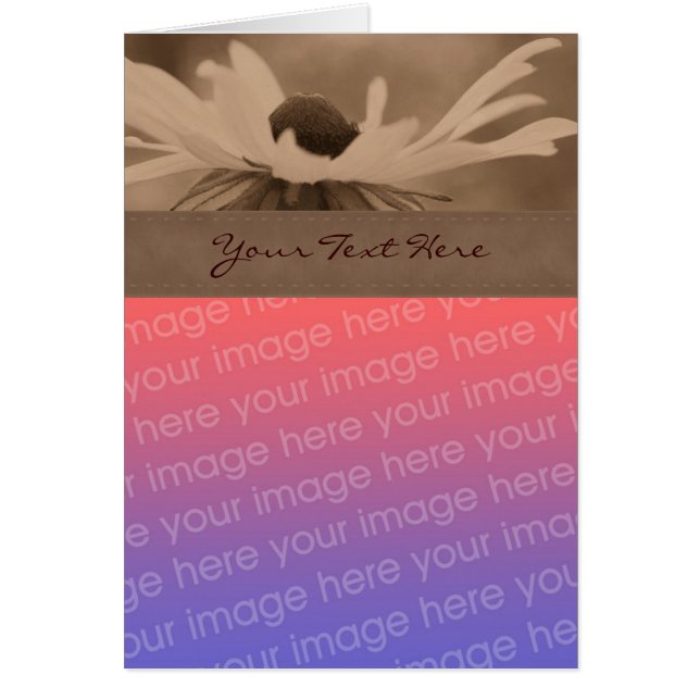 Sepia Black Eyed Susan Flower Photo Card (Frente)