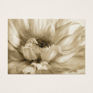 Sepia blanca y fondo poner crema de la dalia