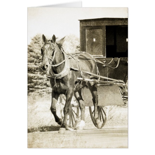 Sepia de caballo y buggy (Frente)
