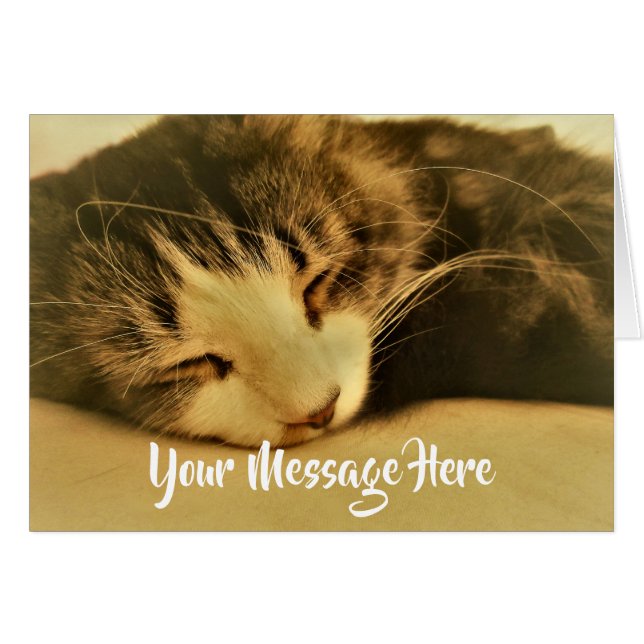 Sepia durmiente Gato Napping (Anverso (Horizontal))