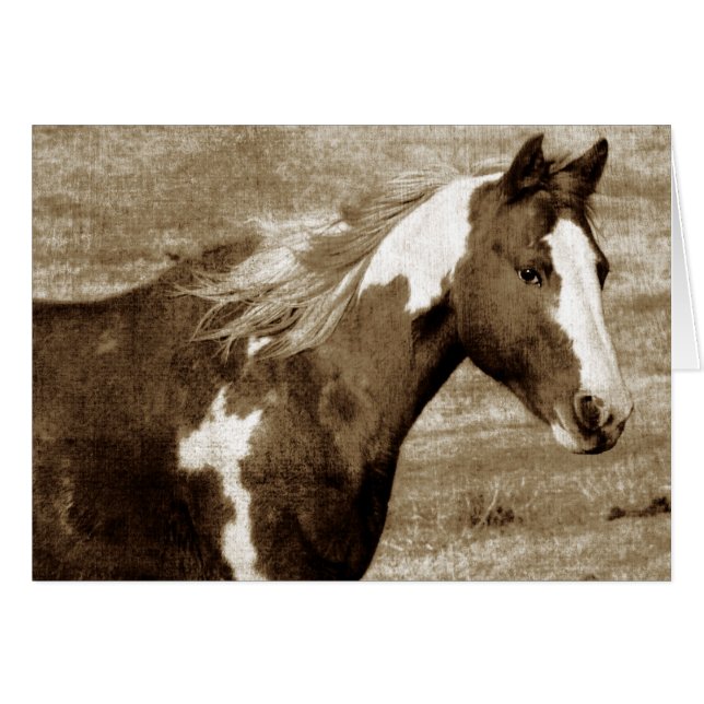 Sepia Flashy Mare (Anverso (Horizontal))
