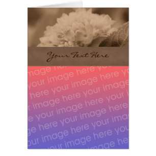Sepia Hydrangea Flower Photo Card