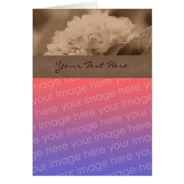 Sepia Hydrangea Flower Photo Card (Frente)