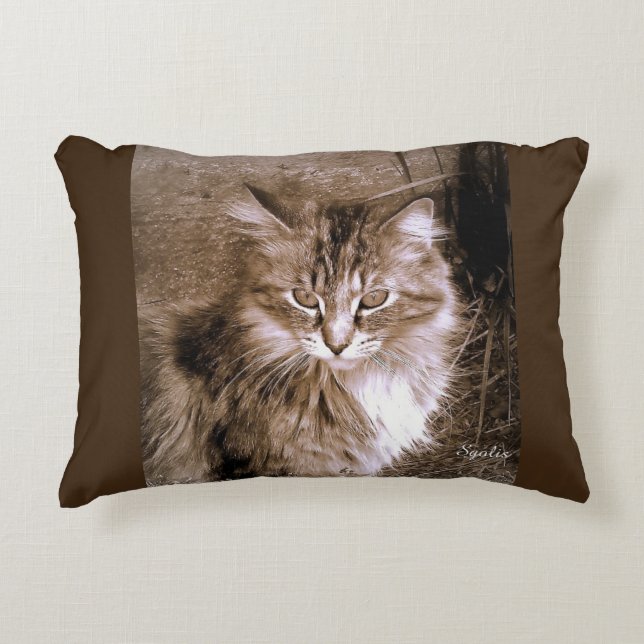 Sepia Maine Coon Cat Cojín decorativo (Anverso)