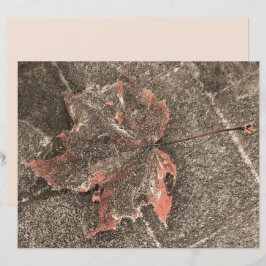 Sepia Vintage de hojas de arce con tema de otoño