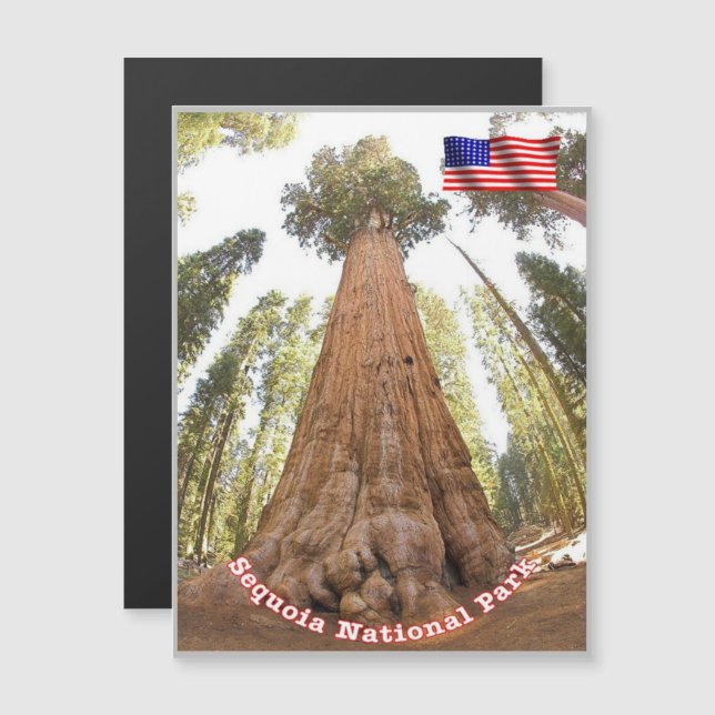 Sequoia - General Sherman Tree - Estados Unidos - (Anverso/Reverso)