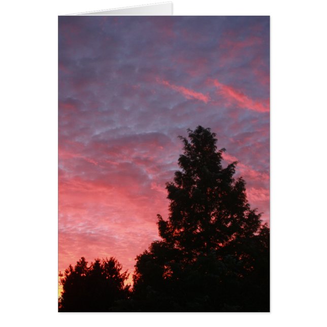 Sequoia Sunrise (Frente)