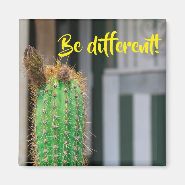 Ser diferente imán de inspiración de cactus (Frente)