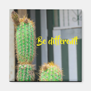 Ser diferente imán de inspiración de cactus
