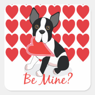¿Ser Mío? Pegatinas de Boston Terrier El día de Sa
