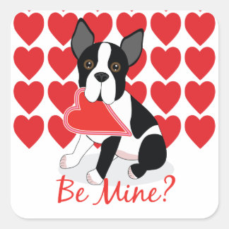 ¿Ser Mío? Pegatinas de Boston Terrier El día de Sa