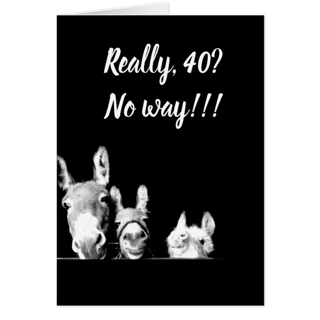 **SERÉ EL TÍO DE DONKEY** NO PUEDES SER *40* (Frente)