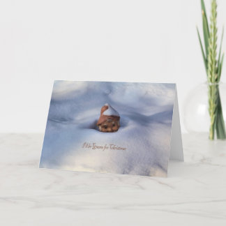 Seré gnomo para el navidad