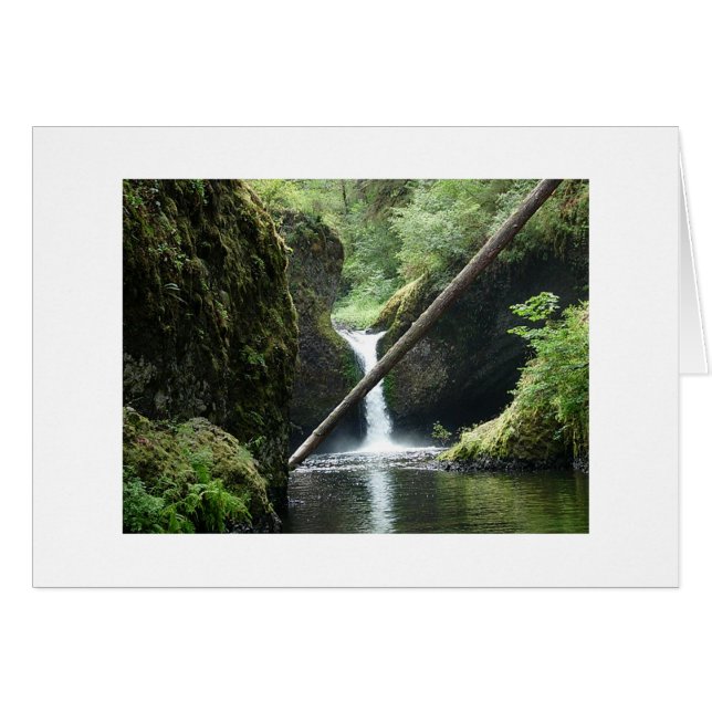 Serene (Anverso (Horizontal))