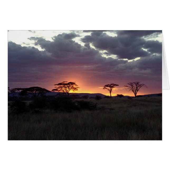 Serengeti_Sunset (Anverso (Horizontal))
