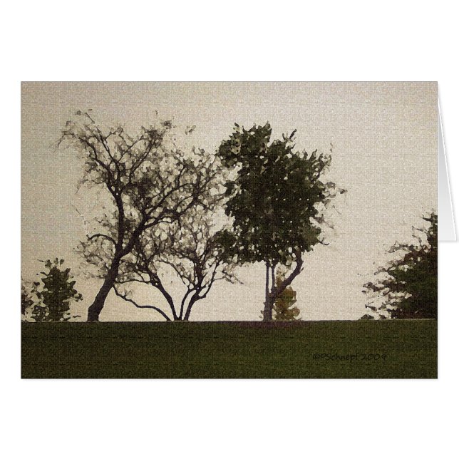 Serenidad (Anverso (Horizontal))
