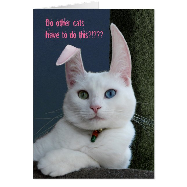 Serenidad como tarjeta Bunny - personalizada (Frente)