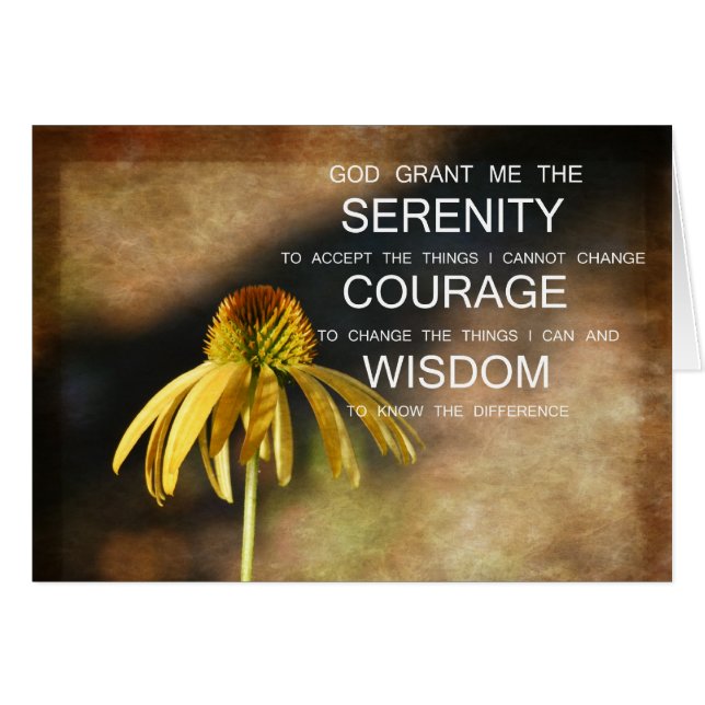 Serenity Echinacea Floral (Anverso (Horizontal))