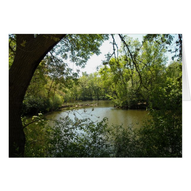 sereno (Anverso (Horizontal))