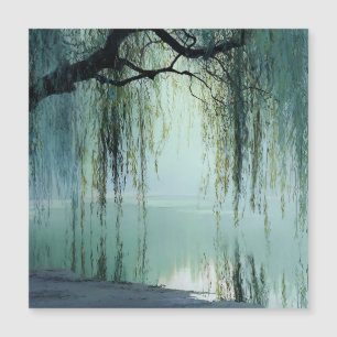 Sereno reflejo del sauce en la naturaleza Arte (4)