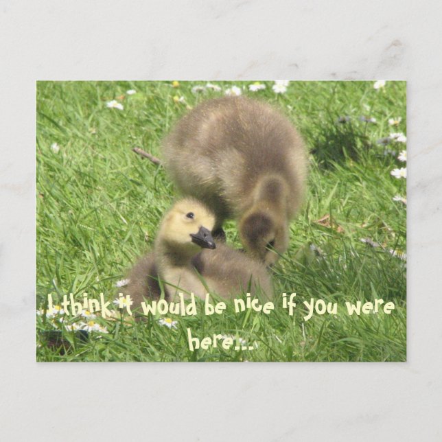 Sería bueno si estuvieras aquí... postal (Anverso)