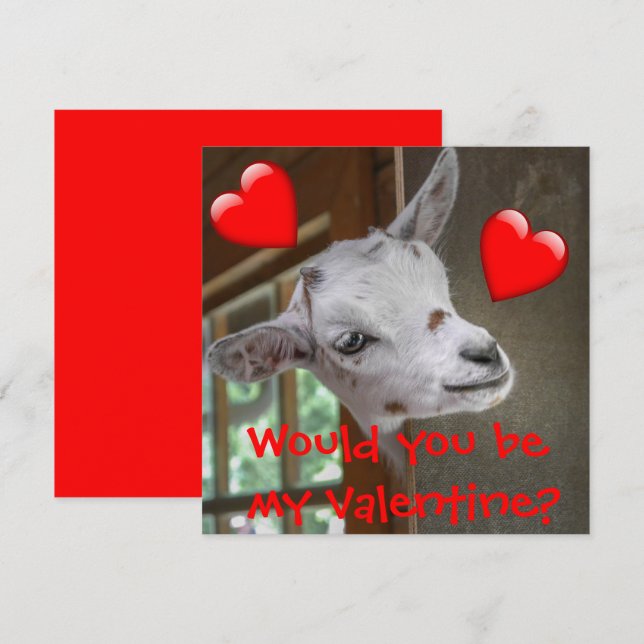 ¿Serías Mi Valentín? Tarjeta divertida de cabra (Anverso / Reverso)