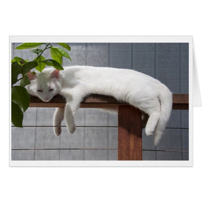 Serie cómica de la tarjeta en blanco del gatito (Anverso (Horizontal))