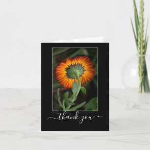 Serie de artistas: Arte floral Naranja Gracias