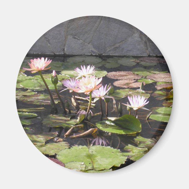 Serie de Bouquet de la Naturaleza: imán de verano (Frente)