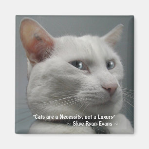Serie de imanes CAT en BLANCO