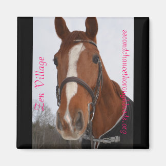 Serie de imanes colectables - Aldea Zen