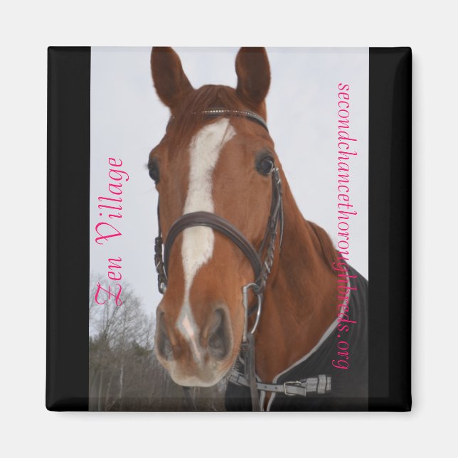 Serie de imanes colectables - Aldea Zen (Frente)