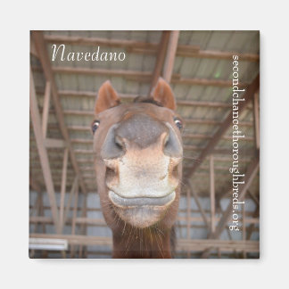 Serie de imanes colectibles - Navedano
