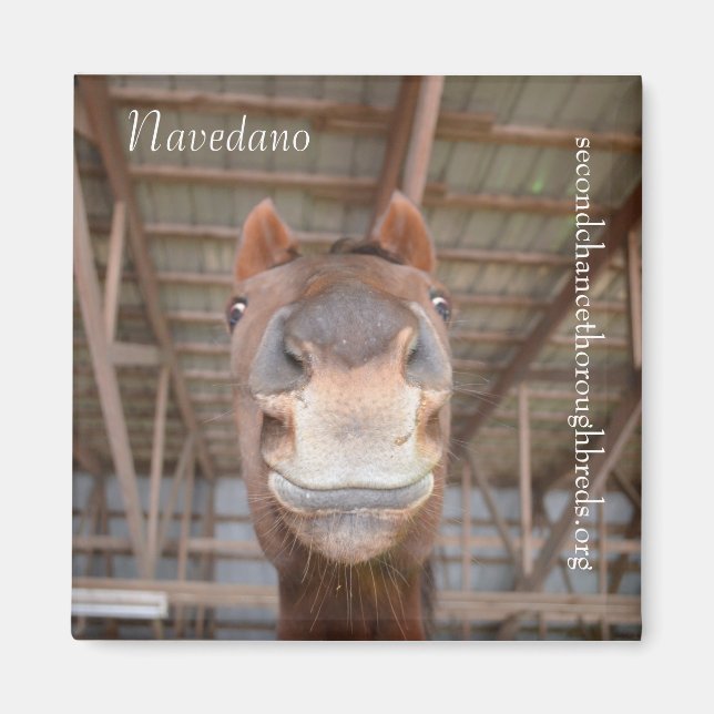 Serie de imanes colectibles - Navedano (Frente)