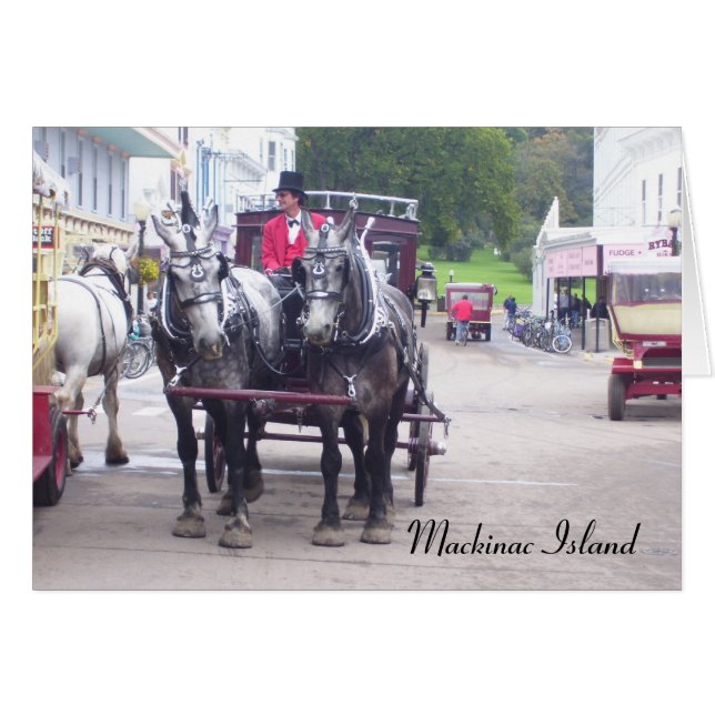 Serie de la Isla Mackinaw (Anverso (Horizontal))
