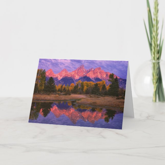 Serie de la tarjeta - Teton magnífico NP (Anverso)