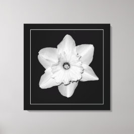 'Serie de Narcisos, Imagen 2' Impresión en Lienzo 