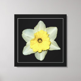 'Serie de Narcisos, Imagen 3' Impresión en Lienzo 