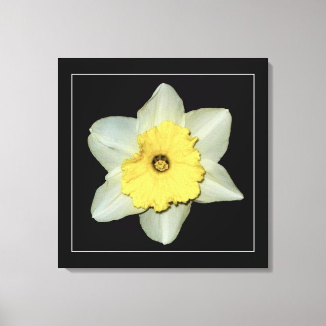 'Serie de Narcisos, Imagen 3' Impresión en Lienzo  (Anverso)