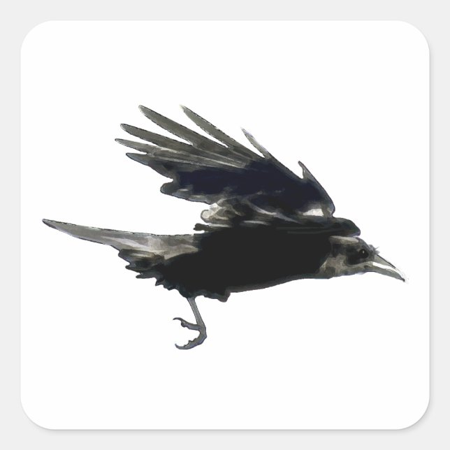 Serie de Pegatinas de FLYS NEGRO CROW (Anverso)