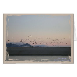 Serie de tarjetas costeras de California (15)