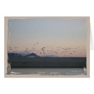 Serie de tarjetas costeras de California (15)