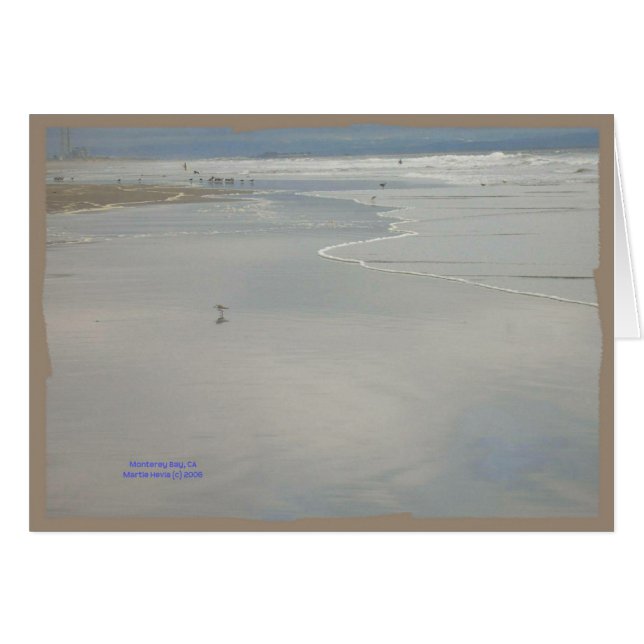 Serie de tarjetas costeras de California (9) (Anverso (Horizontal))