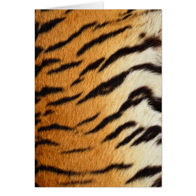 Serie de tarjetas de vida silvestre Tiger Fur (Frente)