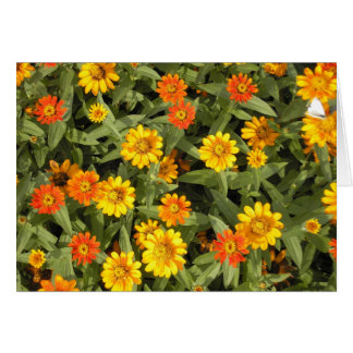 Serie del ramo de la naturaleza (caída)