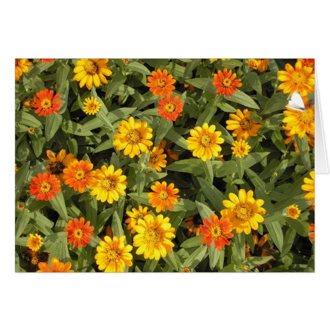 Serie del ramo de la naturaleza (caída) (Anverso (Horizontal))