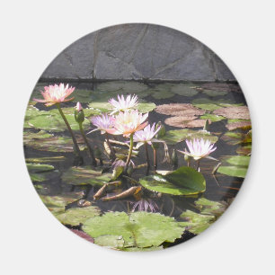 Serie del ramo de la naturaleza: Imán del verano